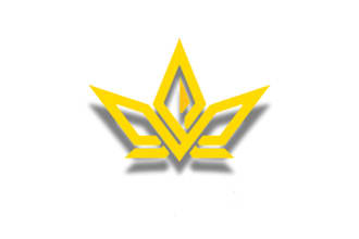 promote equality with custom logo, essays, and graphic