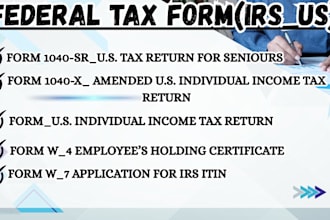 prepare US tax returns for llcs, businesses, and individuals