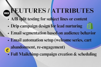 setup mailchimp email campaign automation, campaign management for traffic