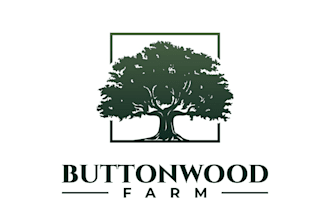 design unique amazing wood logo for your brand