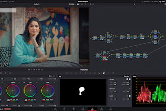 do professional video color grading, color correction, cinematic looks colorist