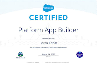 be your salesforce admin