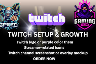 set up and optimize your twitch channel professionally