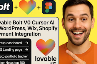 boit v0 cursor ai wordpress wix shopify payment integration