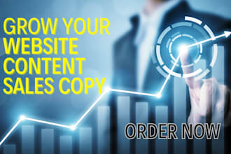 be your SEO website content writer and copywriter