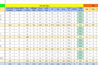 do google sheet data cleaning, reporting and formulate