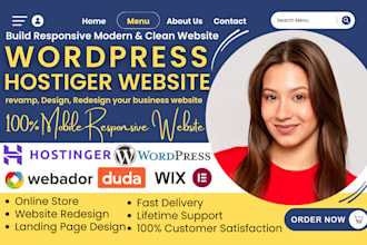 design hostinger wordpress website wix webador duda elementor website redesign