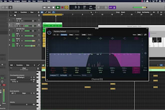 produce demos, remake songs, create covers or custom backing tracks