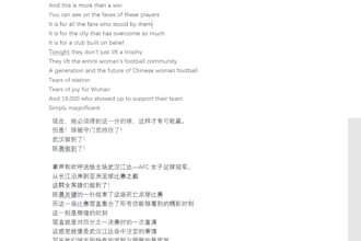 concisely and vividly translate chinese to english and english to chinese