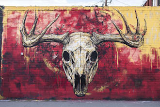 do wall art, pop art, mural, graffiti, doodle art