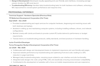 create a professional resume or CV that will help you get hired