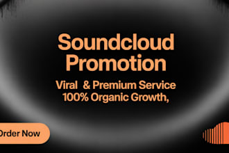 do the best viral and premium organic sound cloud music promotion