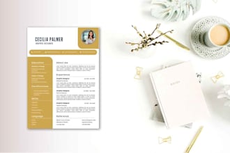 create a professional CV, resume template in canva