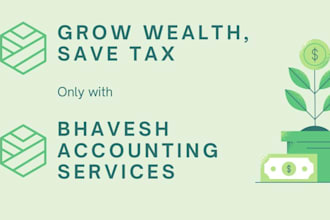 do accounting services with precision using softwares like tally and zoho books