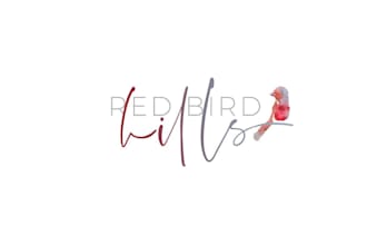 design a professional photography or signature logo