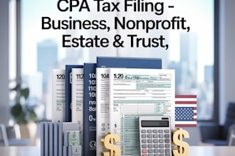 file US tax returns and business taxes as your CPA  forms 1120, 5472, 1040