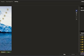 annotate images, text, or video for machine learning projects