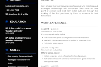 professional CV maker and modern resume design