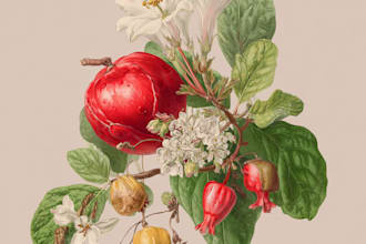 draw beautiful digital botanical illustrations of flower