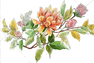 draw realistic botanical watercolor illustration