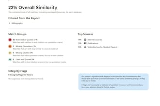 check plagiarism including ai content