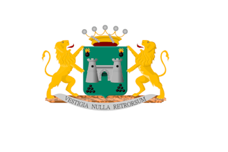 design a custom coat of arms or heraldic logo for your brand