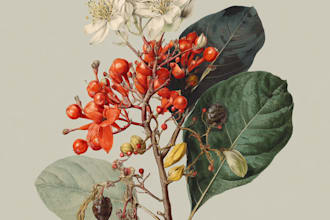paint botanical and scientific illustrations