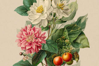 create a beautiful vintage botanical illustration poster