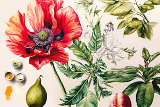paint botanical illustration of plants, fruits, flowers, vegetables, herbs