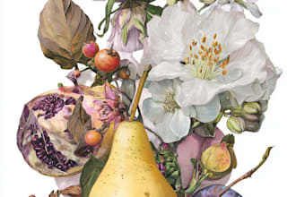 paint watercolour botanical illustrations