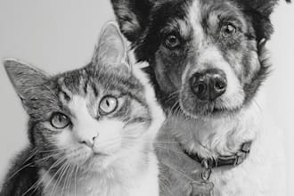 drawing custom pet portraits, cats, dogs, and other animals