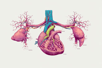 make scientific and medical illustrations for you