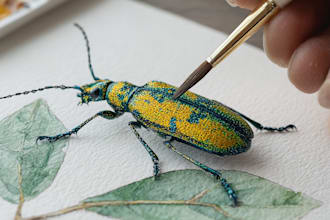 paint a botanical or insect species with watercolor