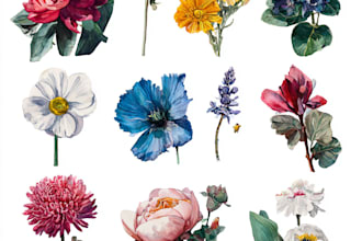 watercolor botanical illustrations of flowers and plants