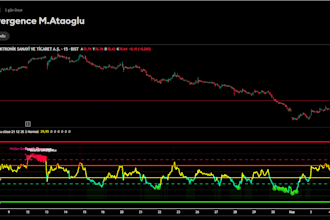 professional developer financial analyst