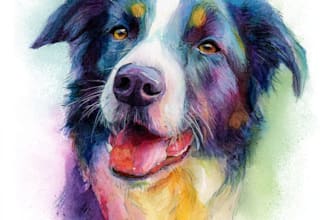 draw a rainbow watercolor portrait of your pet