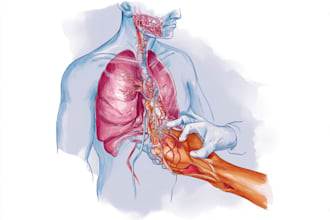 draw professional medical illustrations, drawings, exercises