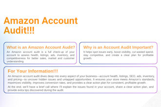 audit amazon account, PPC campaigns, product listings, create action plan