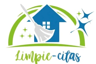design a professional house cleaning logo for your business