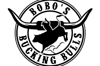 do modern high quality custom bull logo design