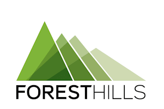 design a unique and professional hill logo
