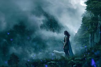 draw fantasy illustrations and covers