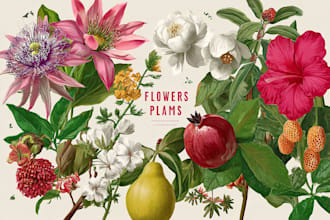 draw botanical illustration art for you