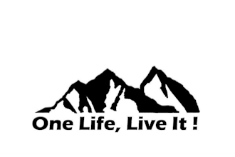 design professional and creative mountain logo for you