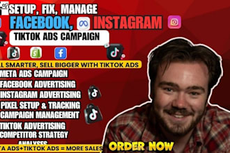 set up and manage meta ads, facebook ads, instagram ads, and tiktok ads campaign