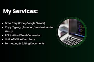 do fast and reliable data entry for you