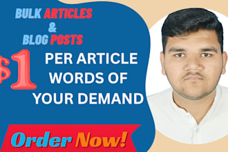 do bulk seo optimized articles and blog posts for you