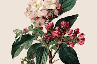 create a beautiful vintage botanical illustration poster