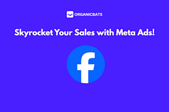 set up and run professional meta facebook and instagram ad campaigns