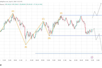 provide professional forex and crypto trading analysis